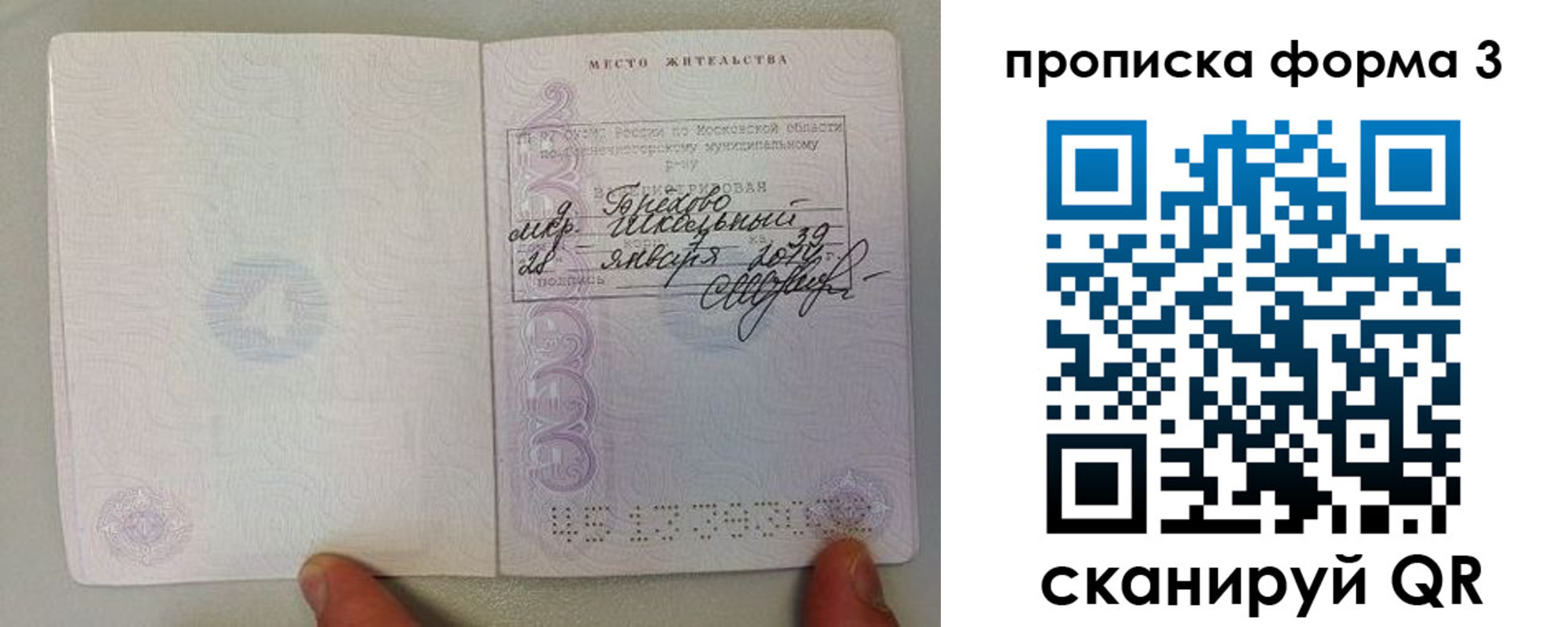 прописка гарантия в Гвардейске